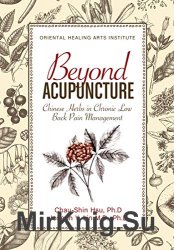 Beyond Acupuncture: Chinese Herbs in Chronic Low Back Pain Management