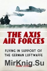 The Axis Air Forces: Flying in Support of the German Luftwaffe