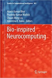 Bio-inspired Neurocomputing