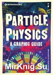 Introducing Particle Physics: A Graphic Guide