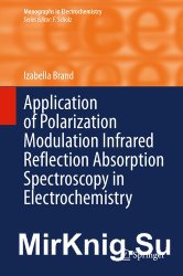 Application of Polarization Modulation Infrared Reflection Absorption Spectroscopy in Electrochemistry