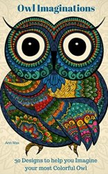 Owl Imaginations: 30 Designs to help you Imagine your most Colorful Owl