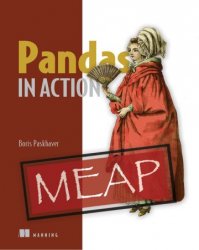 Pandas in Action (MEAP v7)