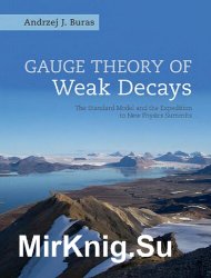 Gauge Theory of Weak Decays: The Standard Model and the Expedition to New Physics Summits