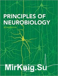 Principles of Neurobiology, Second Edition