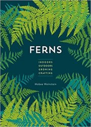 Ferns: Indoors - Outdoors - Growing - Crafting