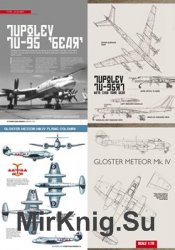 Flying Scale Models 2020 (11 months): Scale Drawings, Article and Colors