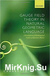 Gauge Field Theory in Natural Geometric Language: A revisitation of mathematical notions of quantum physics