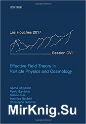 Effective Field Theory in Particle Physics and Cosmology