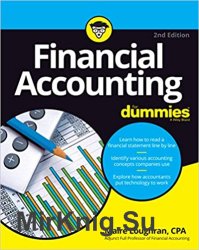 Financial Accounting For Dummies, Second Edition