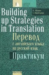       .  - Building up strategies in translation