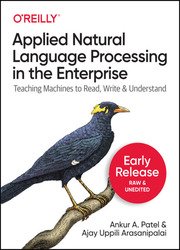 Applied Natural Language Processing in the Enterprise: Teaching Machines to Read, Write, and Understand (Fourth Early Release)