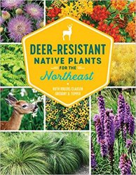 Deer-Resistant Native Plants for the Northeast