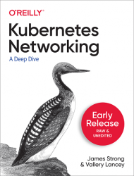 Kubernetes Networking (Early Release)