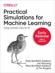 Practical Simulations for Machine Learning (Early Release)
