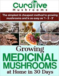 Growing Medicinal Mushrooms At Home The Easy Way