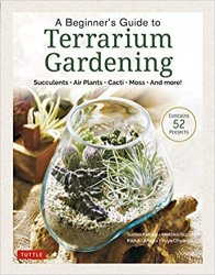A Beginner's Guide to Terrarium Gardening: Succulents, Air Plants, Cacti, Moss and More!
