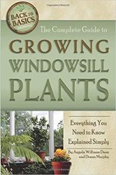 The Complete Guide to Growing Windowsill Plants: Everything You Need to Know Explained Simply