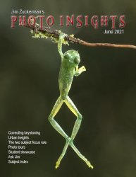 Photo Insights Issue 6 2021