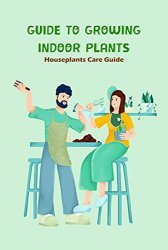 Guide to Growing Indoor Plants: Houseplants Care Guide