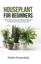 Houseplant For Beginners