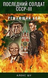 Последний солдат СССР. Книга 3. Решающий бой