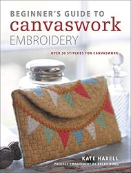 Beginner's Guide to Canvaswork Embroidery: Over 30 Stitches for Canvaswork