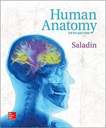 Human Anatomy, 5th Edition (Kenneth Saladin)