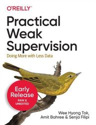 Practical Weak Supervision (Early Release)