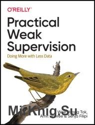 Practical Weak Supervision: Doing More with Less Data (Final)
