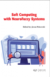 Soft Computing with NeuroFuzzy systems