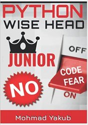 Python. Wise Head Junior: Beginners Guide To Programming. Coding For Kids. Learn With Fun. Learn Logic Building Skills