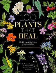 100 Plants that Heal: The illustrated herbarium of medicinal plants