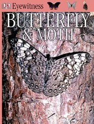 Eyewitness Butterfly & Moth