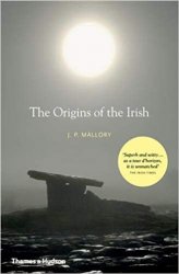 The Origins of the Irish