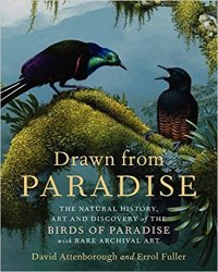 Drawn From Paradise: The Discovery, Art and Natural History of the Birds of Paradise