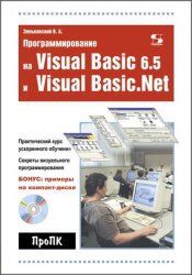   Visual Basic 6.5  Visual Basic.Net