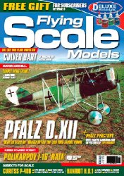 Flying Scale Models 2022-01