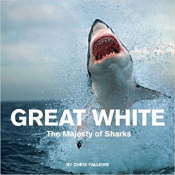 Great White: The Majesty of Sharks