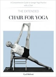 The Extended Chair for Yoga: A Comprehensive Guide to Iyengar Yoga Practice with a Chair