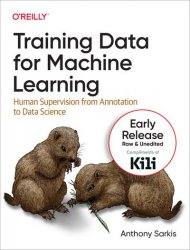 Training Data for Machine Learning Models (Early Release)