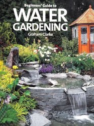 Beginner's Guide to Water Gardening