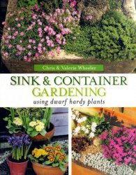 Sink & Container Gardening: Using Dwarf Hardy Plants