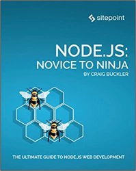 Node.js: Novice to Ninja