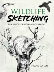 Wildlife Sketching: Pen, Pencil, Crayon and Charcoal (Dover Art Instruction)