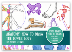 Anatomy: how to draw the Lower body