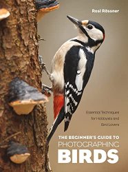 The Beginner's Guide to Photographing Birds: Essential Techniques for Hobbyists and Bird Lovers