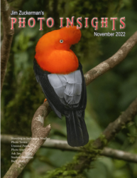 Photo Insights Issue 11 2022