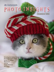 Photo Insights Issue 12 2022