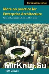More on practice for Enterprise Architecture : Roles, skills, engagement and problem-issues